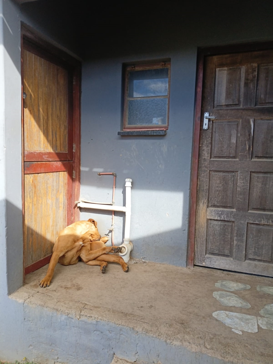 4 Bedroom Property for Sale in Mdantsane Nu 13 Eastern Cape